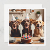 ラブラドールカード、ラブラドール誕生日カード、犬 招待状 (正面/裏面)