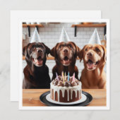 ラブラドールカード、ラブラドール誕生日カード、犬 招待状 (正面/裏面)