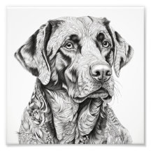 ラブラドールギフトカード