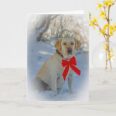 ラブラドールクリスマス カード (黄色い花)