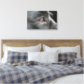 ラブラドールクローズアップ キャンバスプリント (インサイチュ (寝室))