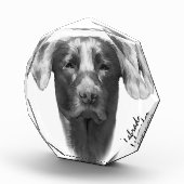 ラブラドールクール犬 フォトブロック (右)