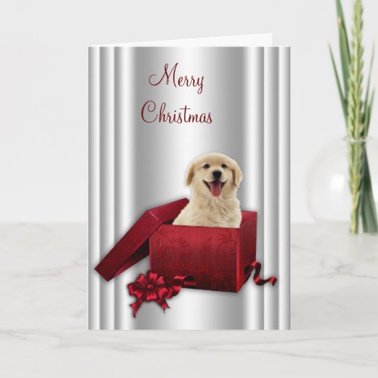 ラブラドールゴールデンレトリエバークリスマスカード シーズンカード (正面)