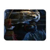 ラブラドールスノウリースレイクリスマスデコール マグネット (横)