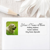 ラブラドールドッグ差出人住所 ラベル (インサイチュ)