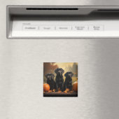 ラブラドールパピーオータムデライトカボチャ マグネット (インサイチュ (食洗機))