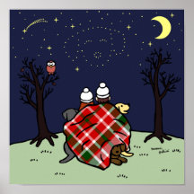 ラブラドールファミリー&星空