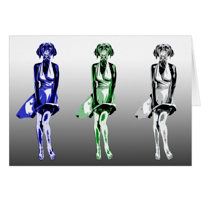 ラブラドールモンロー-スタイル (正面横)