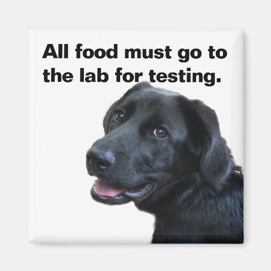 ラブラドールラブ マグネット (正面)