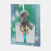 ラブラドールリトリエバーパピーinボックス《写真》ぼけ味クリスマス ガラスオーナメント (正面左)