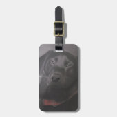 ラブラドールリトリバースケッチ ラゲッジタグ (正面縦)