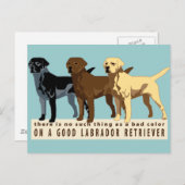 ラブラドールリトリバー3色 ポストカード (正面/裏面)