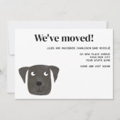 ラブラドールリトリーブドッグの新しいアドレスの発表 案内状 (正面)