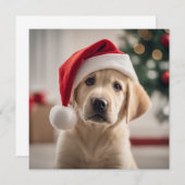 ラブラドールレトリエバークリスマス (正面/裏面)