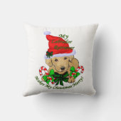 ラブラドールレトリエバークリスマス クッション (裏面)