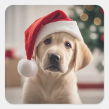ラブラドールレトリエバークリスマス