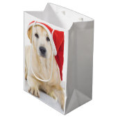 ラブラドールレトリエバーサンタミディアム抱き枕 ミディアムペーパーバッグ (正面アングル)