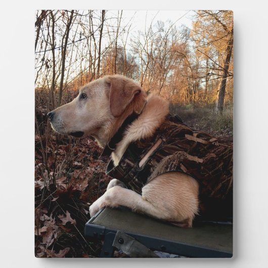 ラブラドールレトリエバーダックミサイル発射パッド フォトプラーク (正面)