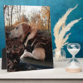 ラブラドールレトリエバーダックミサイル発射パッド フォトプラーク (側面)