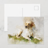 ラブラドールレトリエバードッグウォーターポートレート03 ポストカード (正面/裏面)