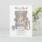 ラブラドールレトリエバードッグ |お知らせ 案内状 (スタンド正面)