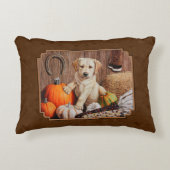 ラブラドールレトリエバードッグ&パンプキンズブラウン アクセントクッション (正面)