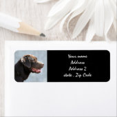 ラブラドールレトリエバードッグ ラベル (インサイチュ)