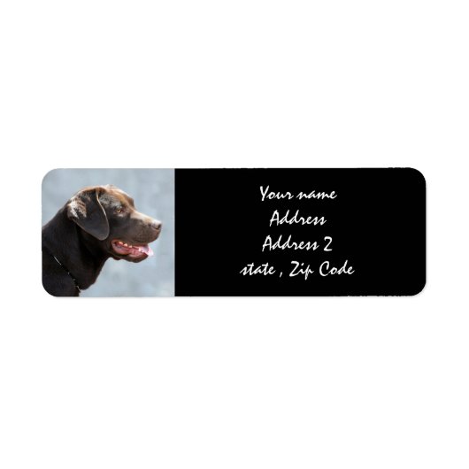 ラブラドールレトリエバードッグ ラベル (正面)