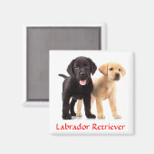 ラブラドールレトリエバーパピーズ冷蔵庫用マグネット マグネット (正面/裏面)