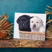 ラブラドールレトリエバーパピー フォトプラーク (側面)