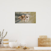 ラブラドールレトリエバーポスターパップビーチ ポスター (キッチン)