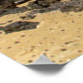 ラブラドールレトリエバーポスタービーチ ポスター (角)