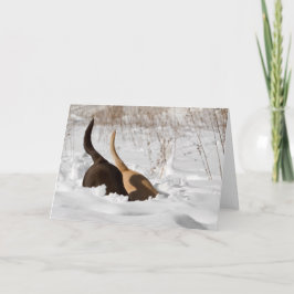 ラブラドールレトリバーが雪の挨拶で掘る カード