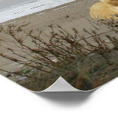 ラブラドールレトリバーのビーチポスター ポスター (角)