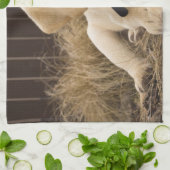 ラブラドールレトリバーの子犬 キッチンタオル (折り畳み)