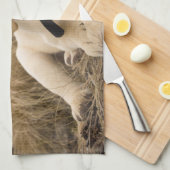 ラブラドールレトリバーの子犬 キッチンタオル (四つ折り)