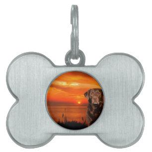 ラブラドールレトリバードッグが日没のそばに座る ペットネームタグ