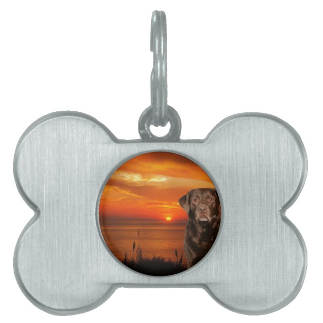 ラブラドールレトリバードッグが日没のそばに座る ペットネームタグ (正面)