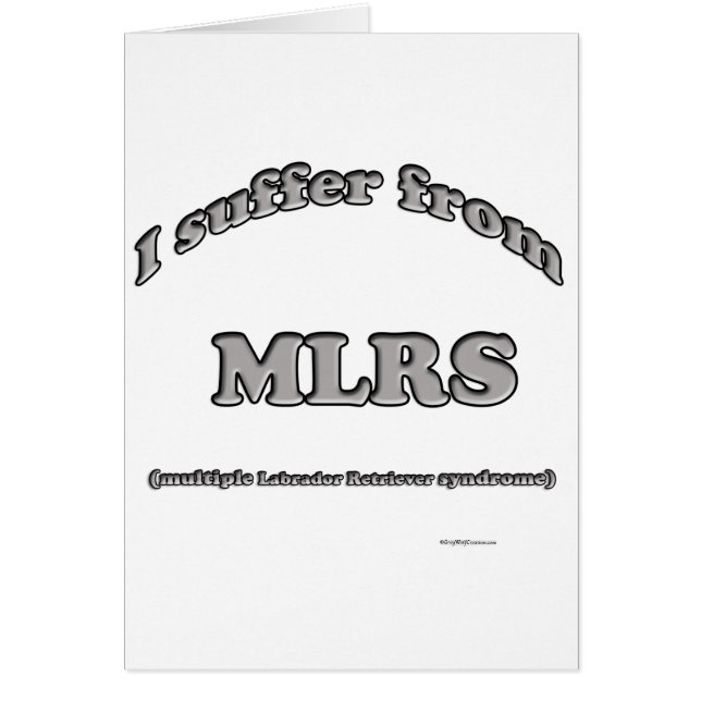 ラブラドールレトリバー症候群 (正面)