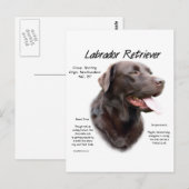 ラブラドールレトリバー（チョコレート）履歴デザイン ポストカード (正面/裏面)