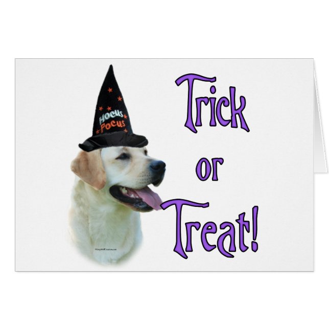 ラブラドールレトリバー（黄色）トリック (正面横)