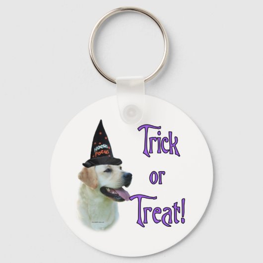 ラブラドールレトリバー(黄色)トリック キーホルダー (正面)