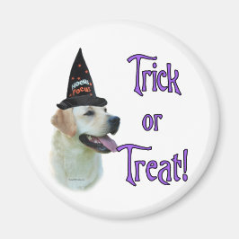 ラブラドールレトリバー(黄色)トリック マグネット