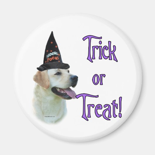 ラブラドールレトリバー（黄色）トリック マグネット (正面)