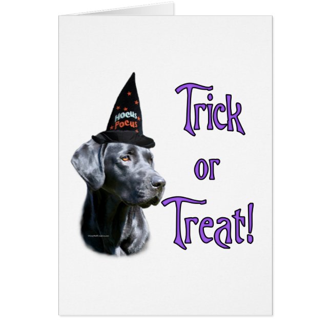 ラブラドールレトリバー（黒）トリック (正面)