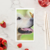 ラブラドール及び蝶装飾用クッション (インサイチュ)