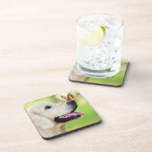 ラブラドール及び蝶装飾用クッション コースター (右側)