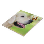 ラブラドール及び蝶装飾用クッション タイル (側面)