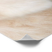 ラブラドール及び蝶装飾用クッション ポスター (角)