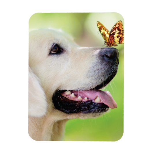 ラブラドール及び蝶装飾用クッション マグネット (縦)